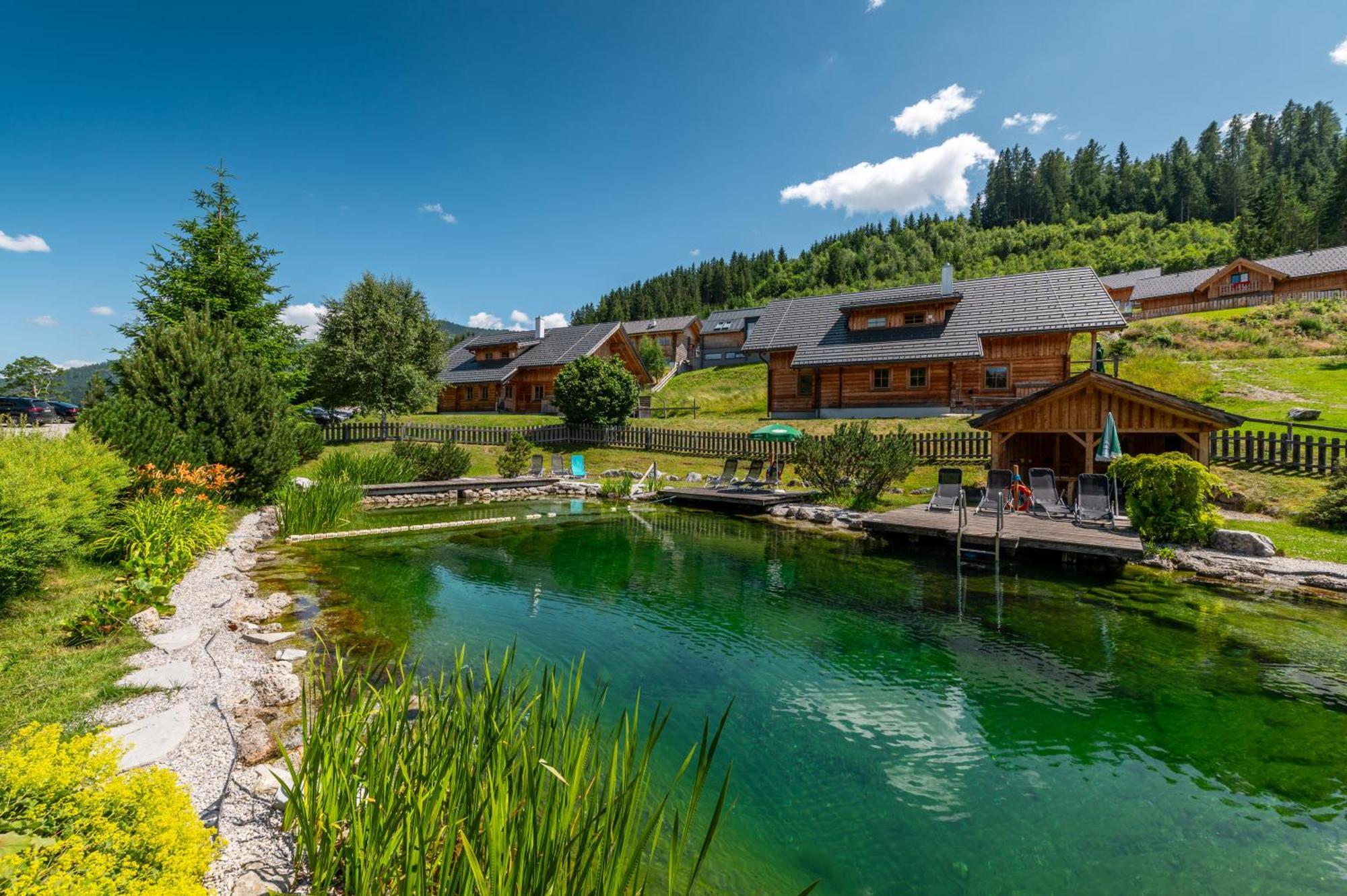 Poolchalet Dachsteinblick Pruggern Exteriér fotografie